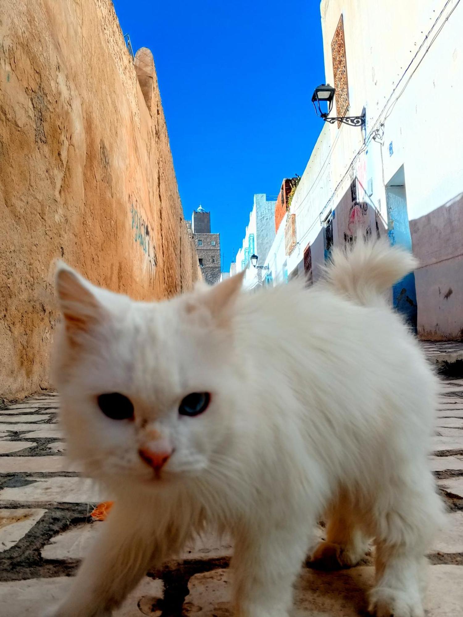Appartamento Dar Baaziz 3 Susa Esterno foto