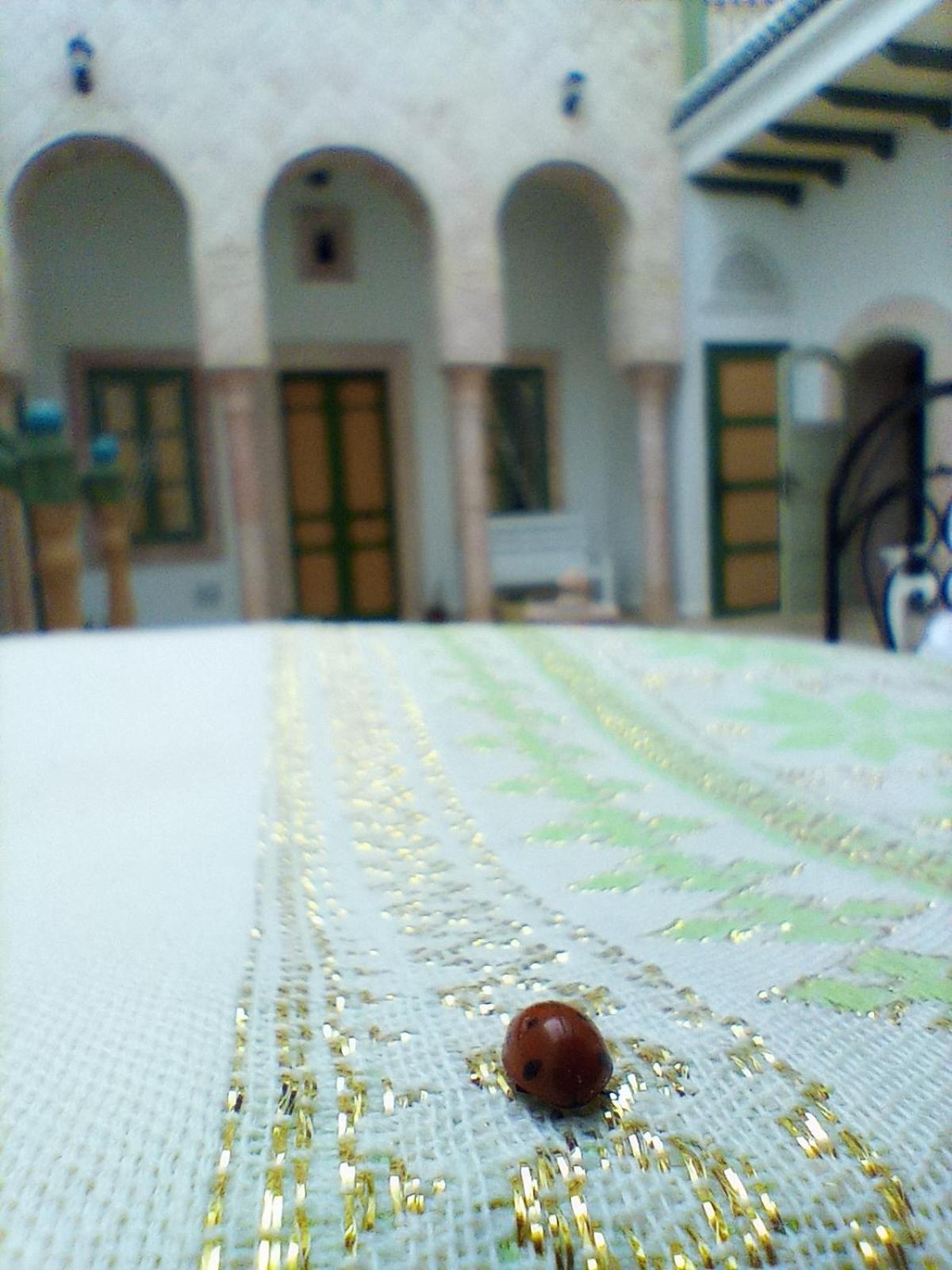 Appartamento Dar Baaziz 3 Susa Esterno foto